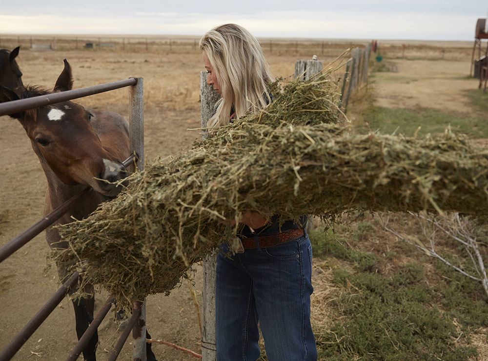 Una mujer rubia parada en una puerta, sosteniendo heno de alfalfa, alimentando a dos caballos marrones.